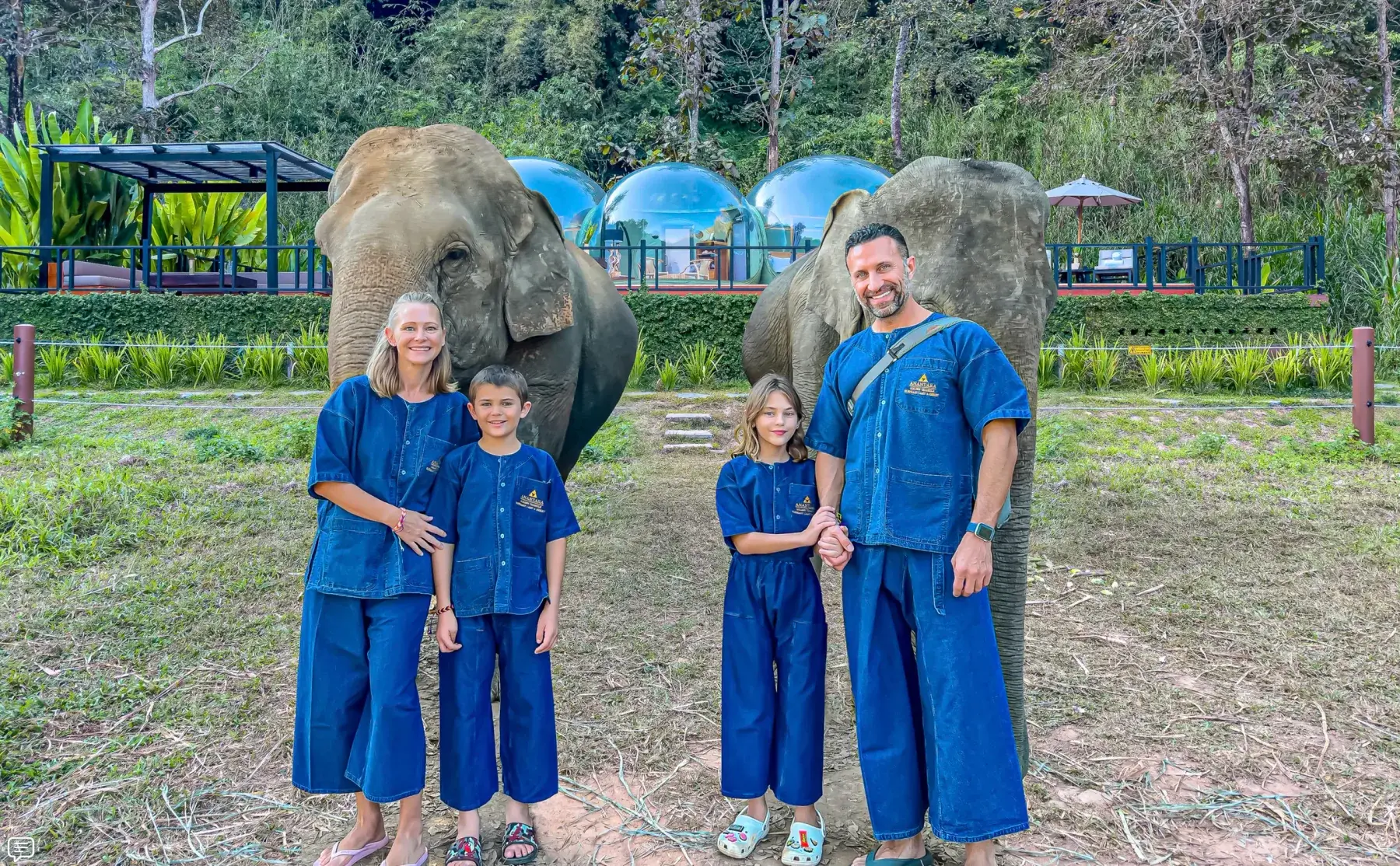 The Lockwoods with rescued elephants