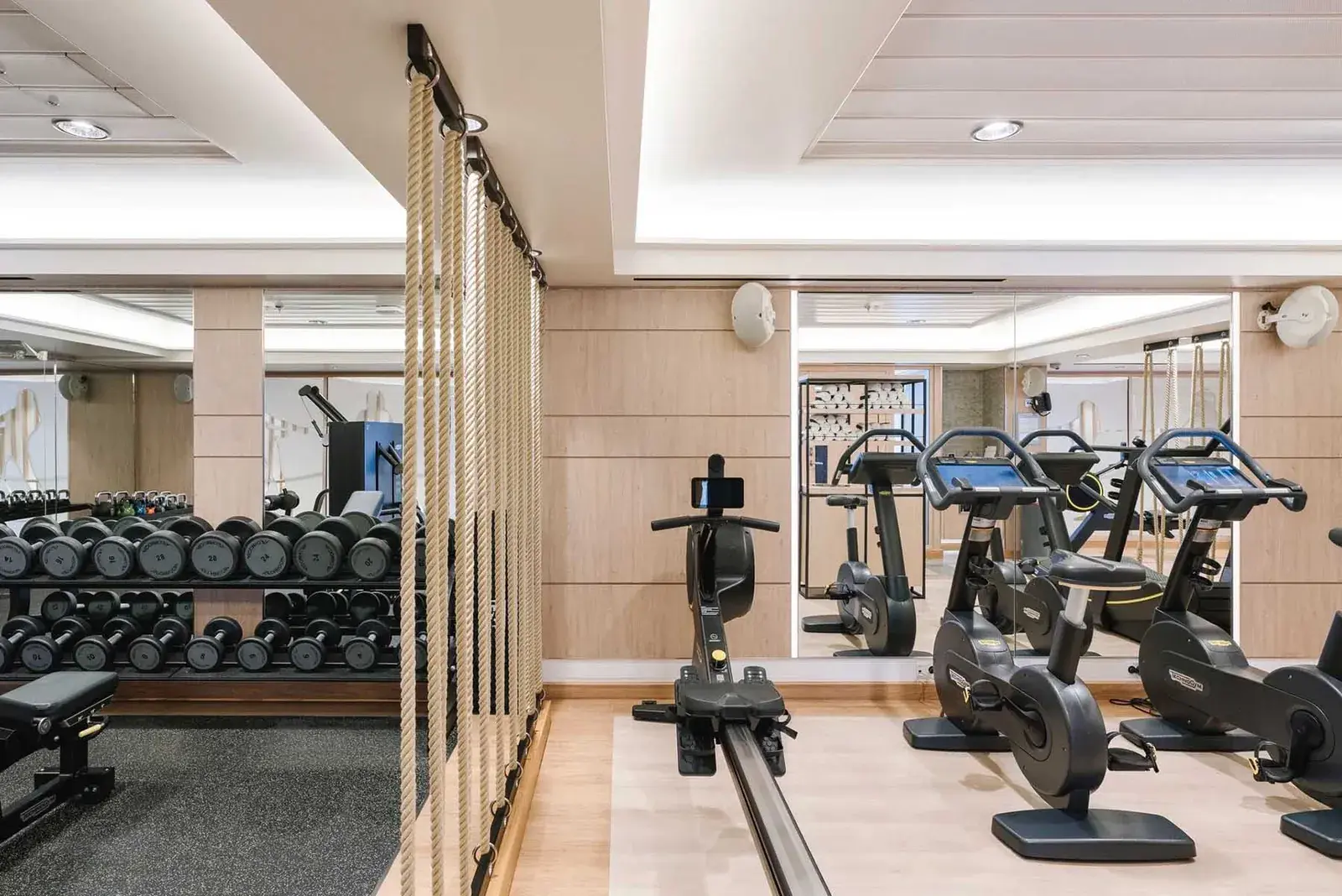 HX ms fridtjof nansen fitness room