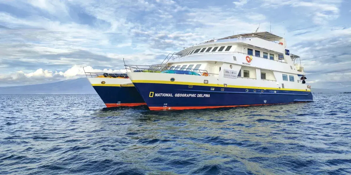 The National Geographic Delphina