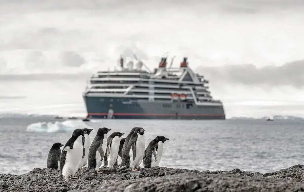 Seabourn Venture / Pursuit with penguins in the foreground