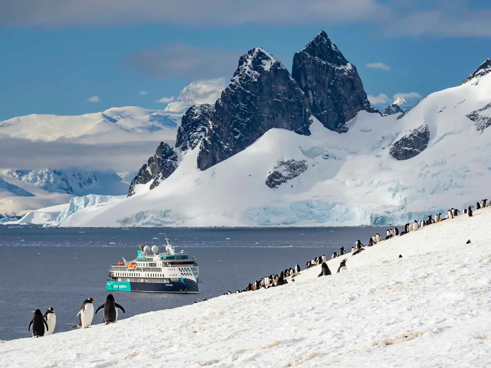 Sylvia Earle guests on a Zodiac landing with penguins in Antarctica