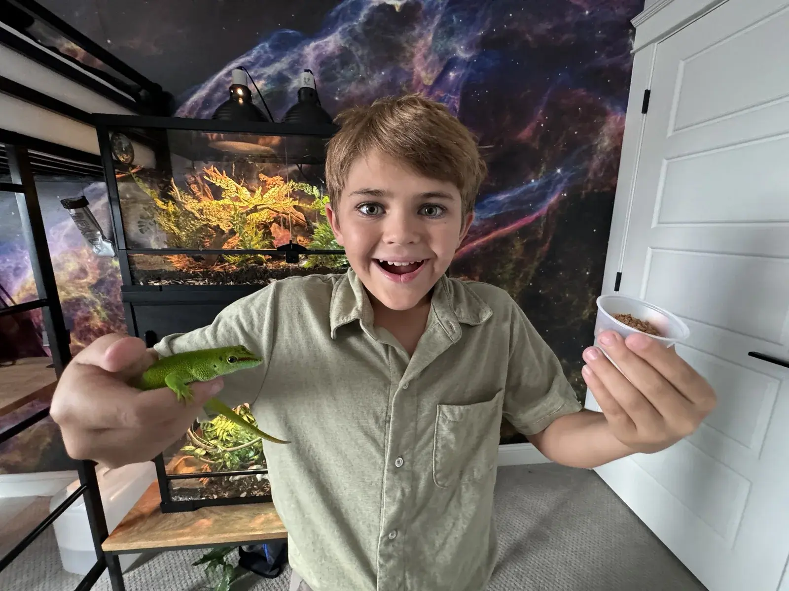 Colt holding one of his pet day geckos in his bedroom