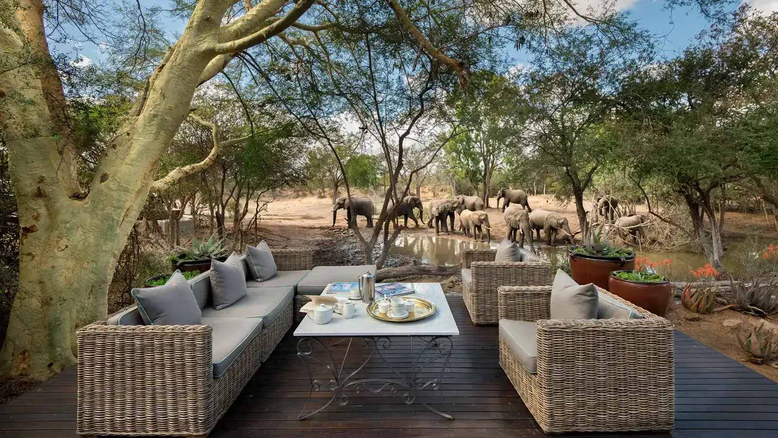 Elephants graze near a wooded African lodge