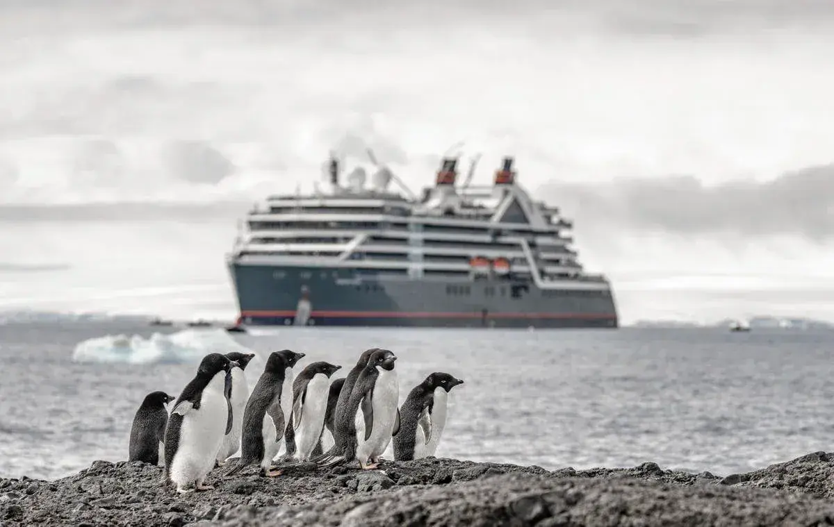 The Seabourn Venture cruise ship with Antarctic penguins in the foreground