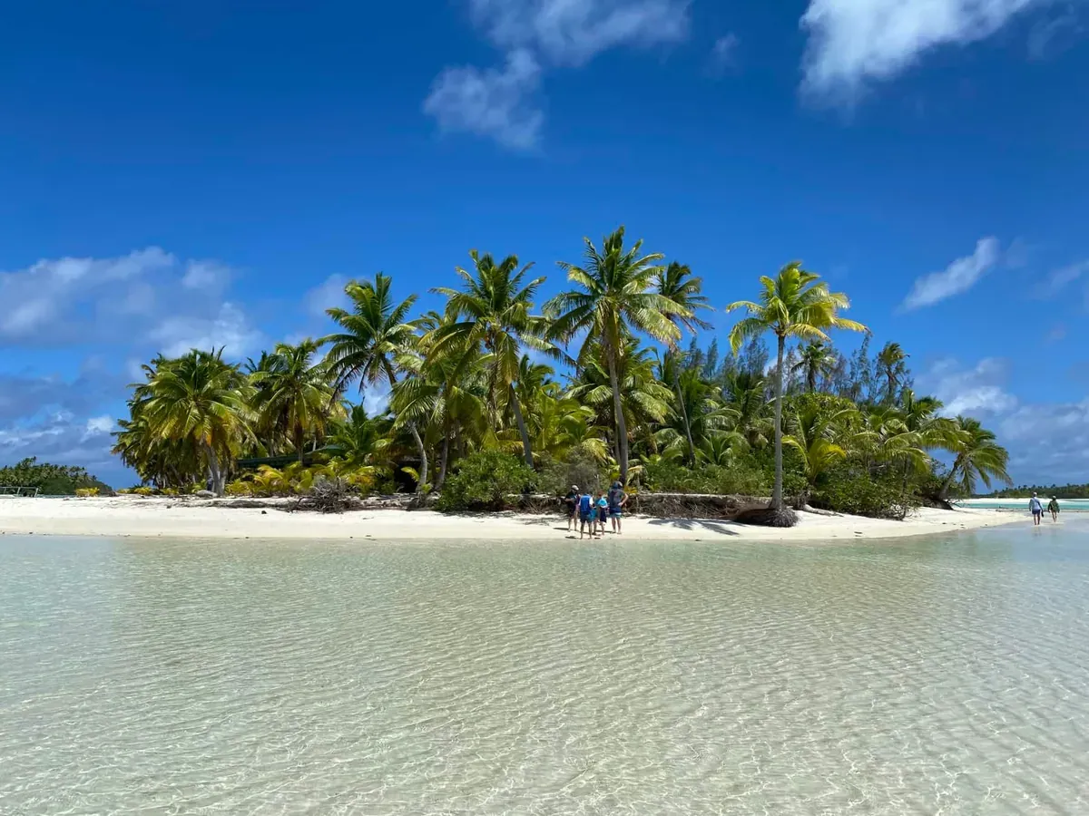 A beach and trees in Cook Islands