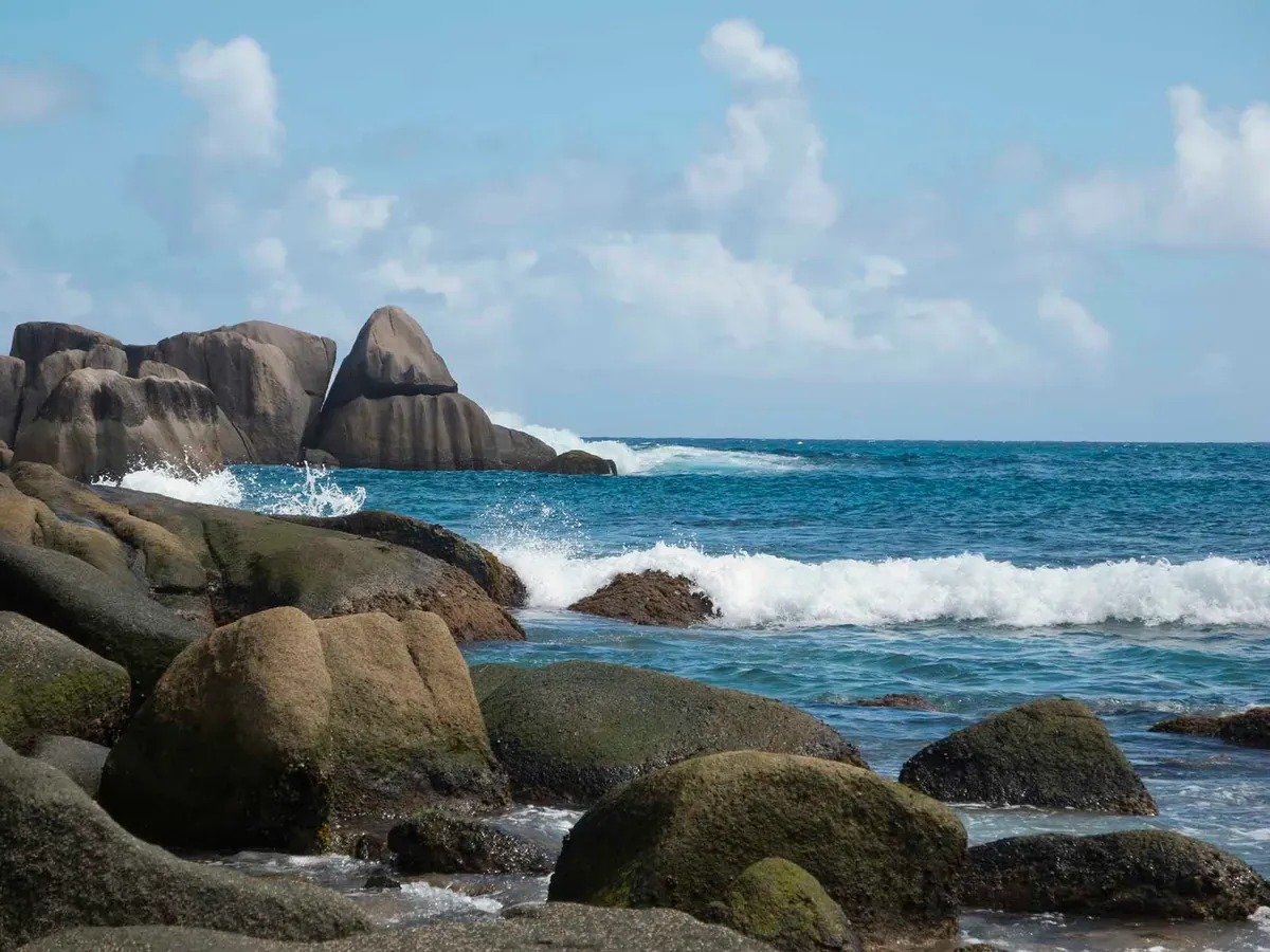 The rocky shore of the Seychelles