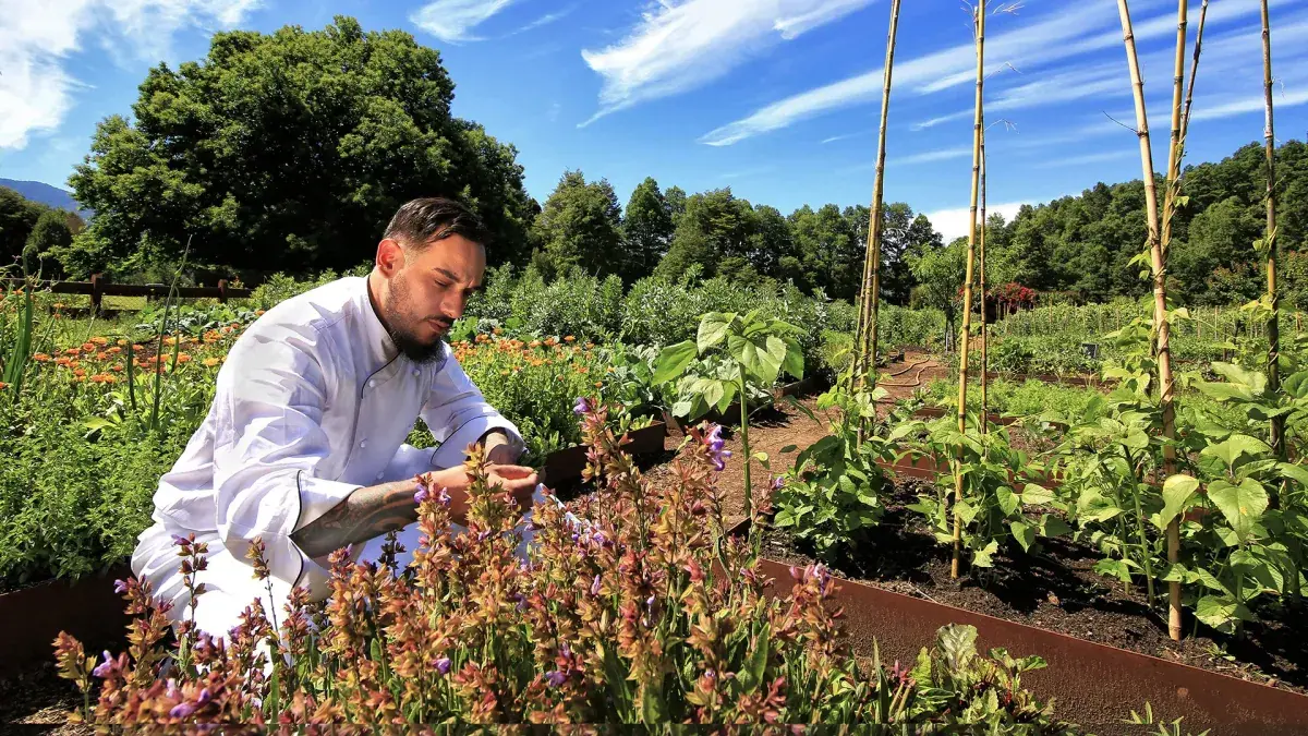 A chef works the vegetable garden at &Beyond Vira Vira lodge