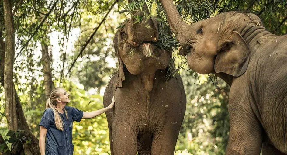 Anantara Golden Triangle: Elephant Camp Experience