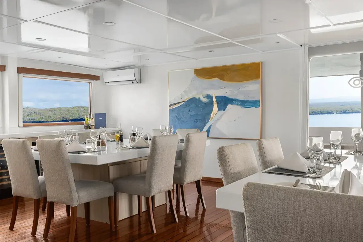 NatGeo Delfina: Dining Room