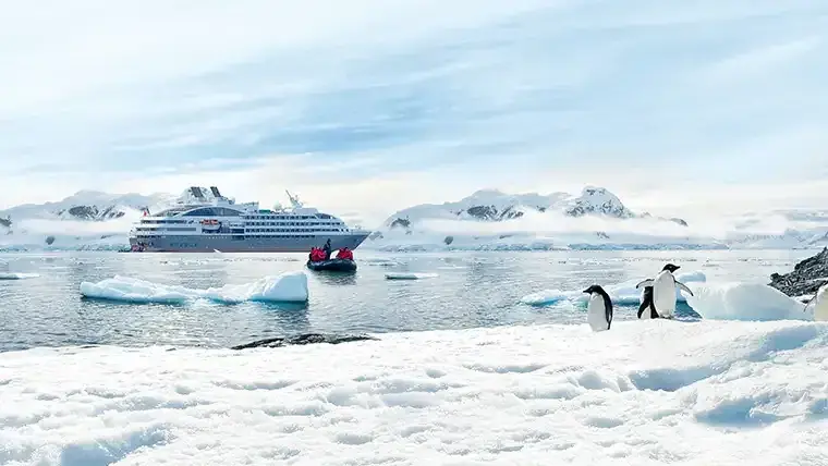 Ponant Explorer-class Zodiac landing with penguins in Antarctica