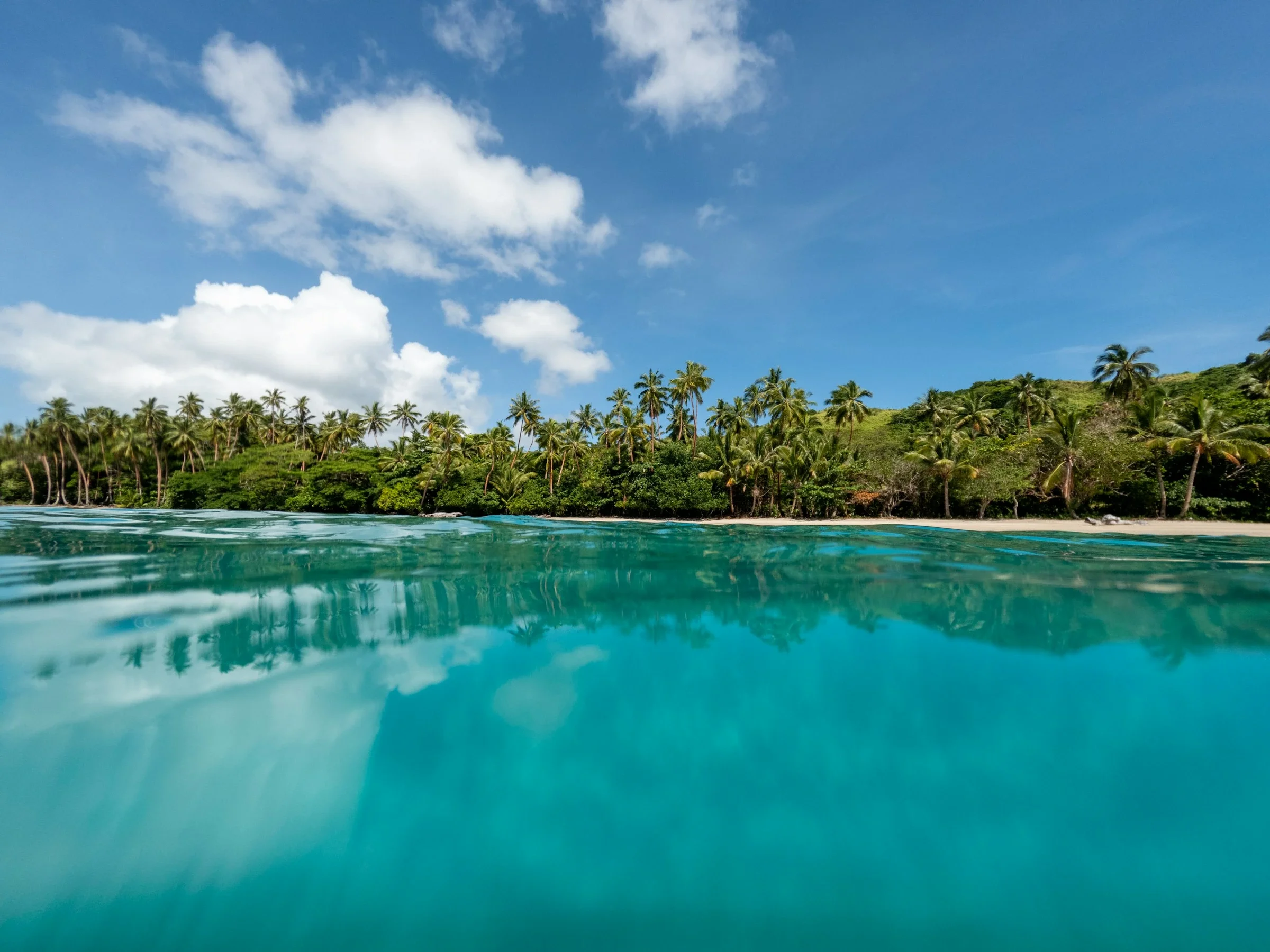 Turquoise lagoon at the waterline, palms along the shore