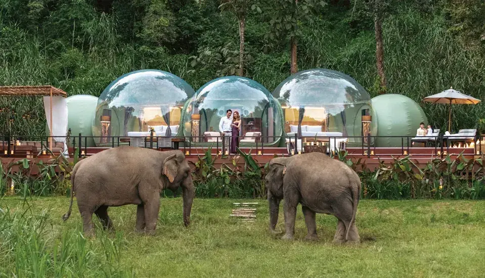 Anantara Golden Triangle: Jungle Bubble Lodge