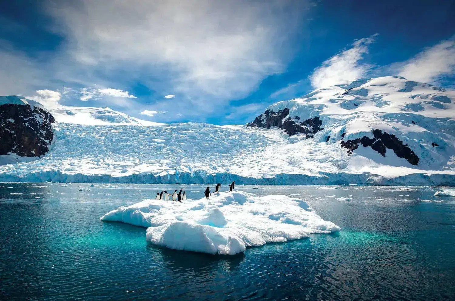 Penguins on an Antarctic iceberg