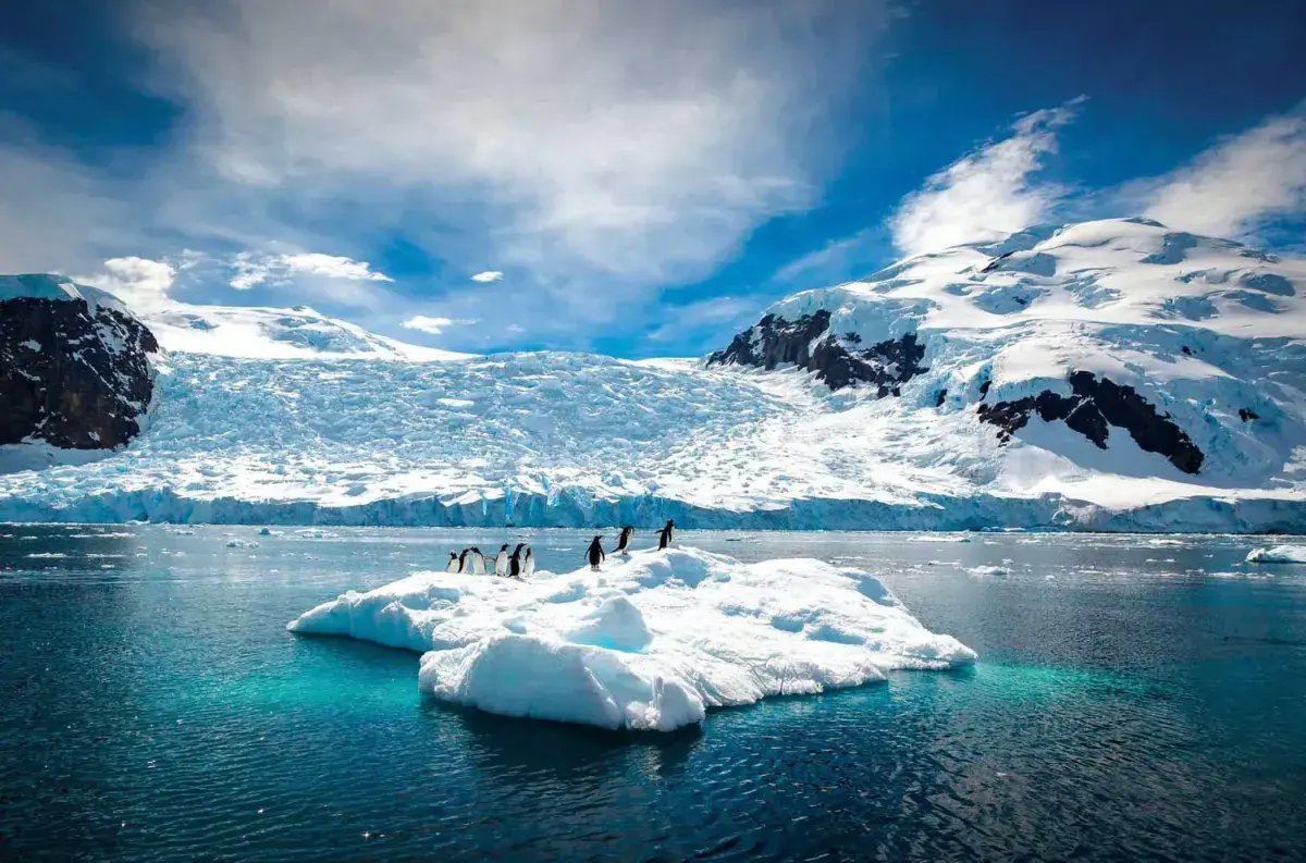 Penguins on an iceberg in Antarctica