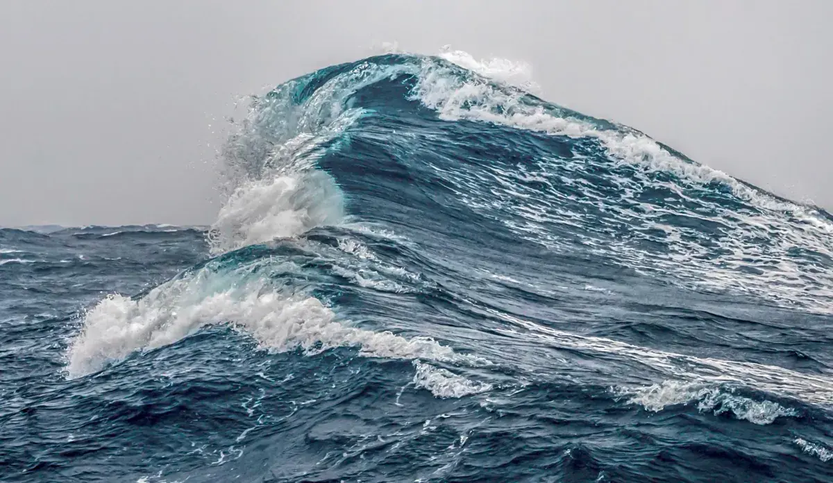 Waves in the Drake Passage