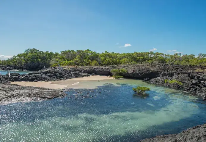 Clear water in the Galapagos islands