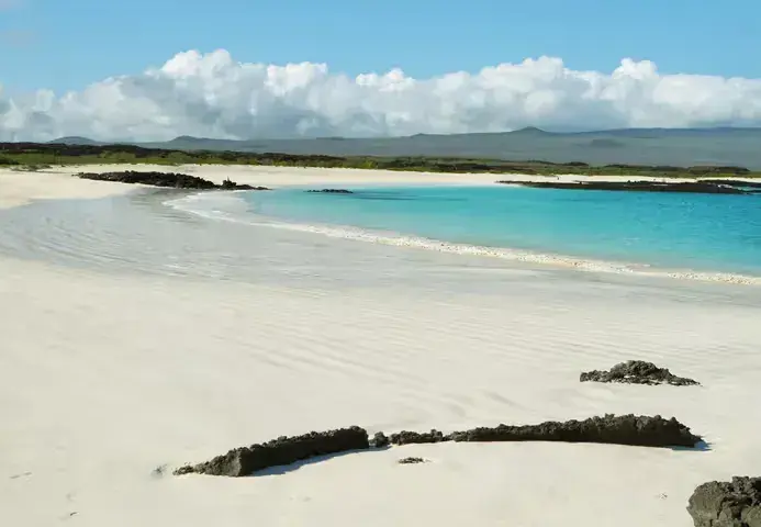 A white sand beach and turquoise water in Galapagos