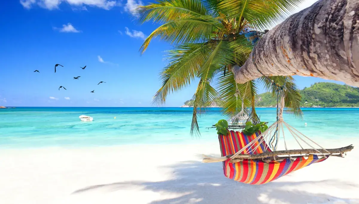 A hammock on a palm tree on a beach on Mahé Island, Seychelles
