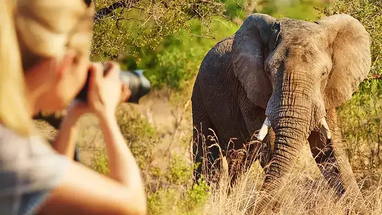 A woman takes a photos of an elephant at &Beyond Phinda Mountain Lodge