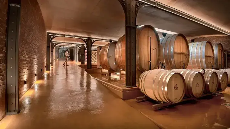 Babylonstoren barrel aging room