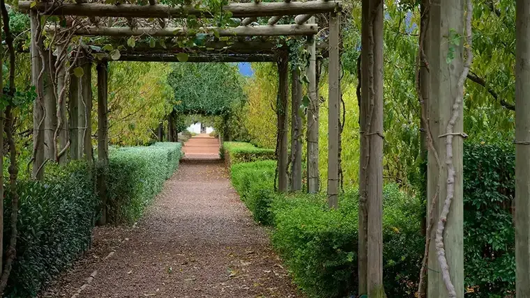 Dirt walking path at Babylonstoren