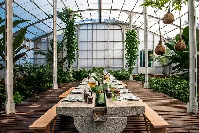 Greenhouse table set for a meal at Babylonstoren