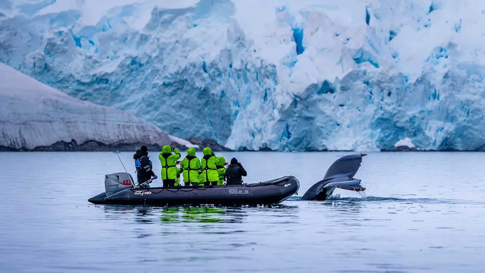 A zodiac in Antarctica is approached by a whale