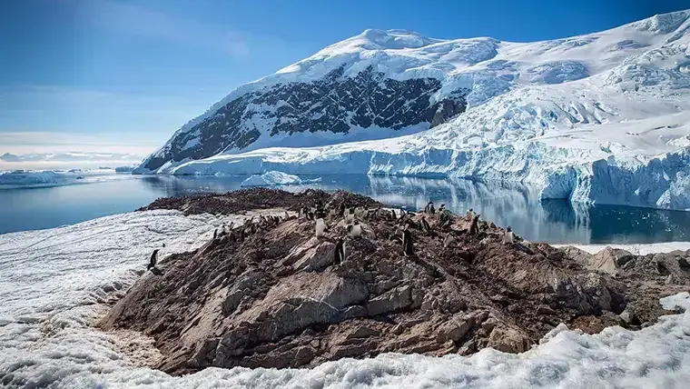 A colony of penguins huddle on a rocky hill in Antarctica