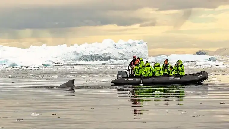 A whale's dorsal fin above water next to a zodiac in Antarctica
