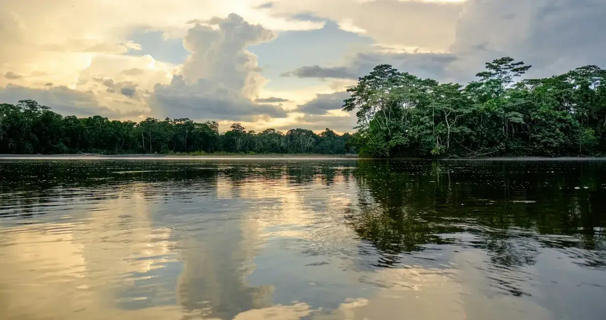 A glassy, reflective Amazon river
