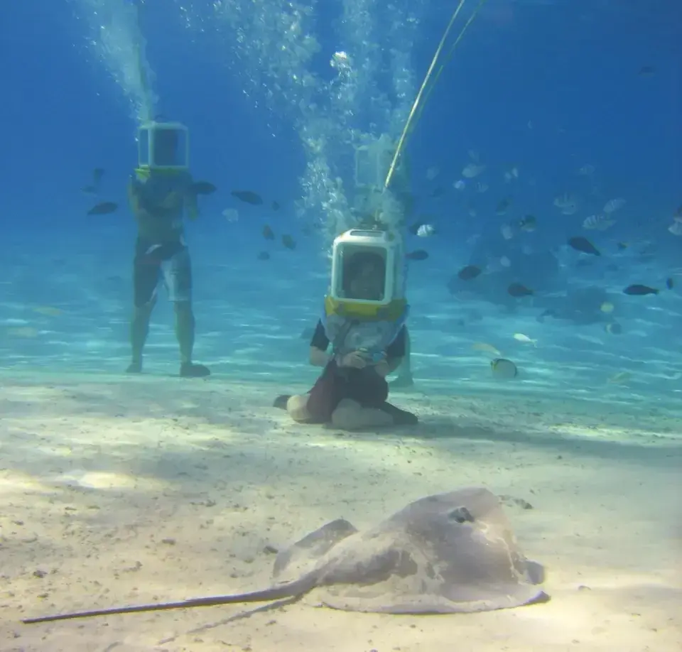 Coastal diving in Bora Bora