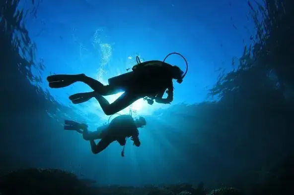 Two-tank scuba dive excursion in the coral reefs of French Polynesia