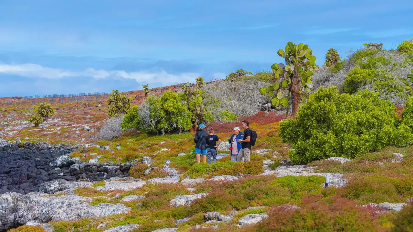 Explorers walk through the lush landscape of the Galapagos