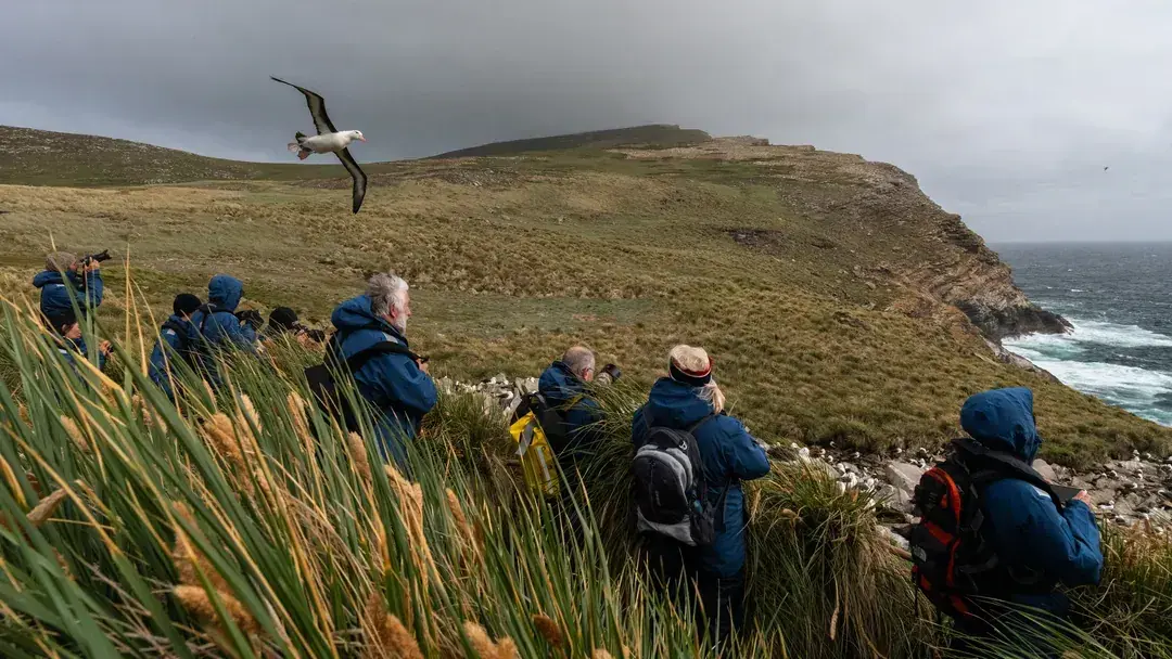 Hikers sit on a grassy bluff in Stanley, Falkland Islands