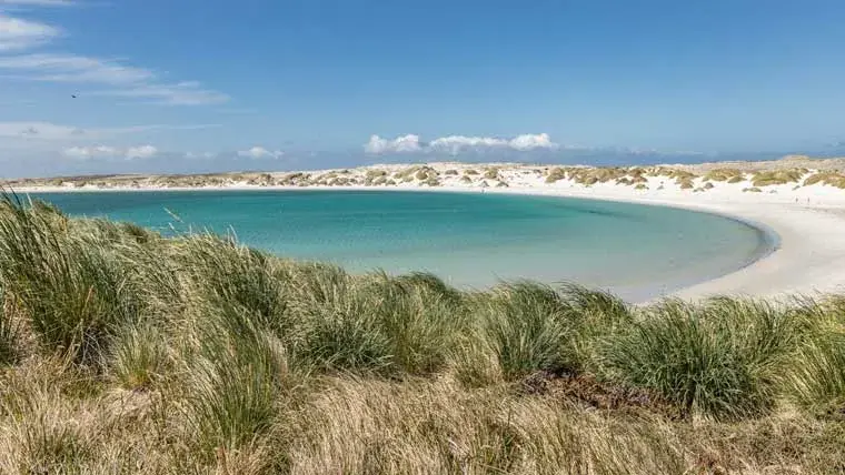 A beach in Gypsy Cove, Stanley, Falkland Islands