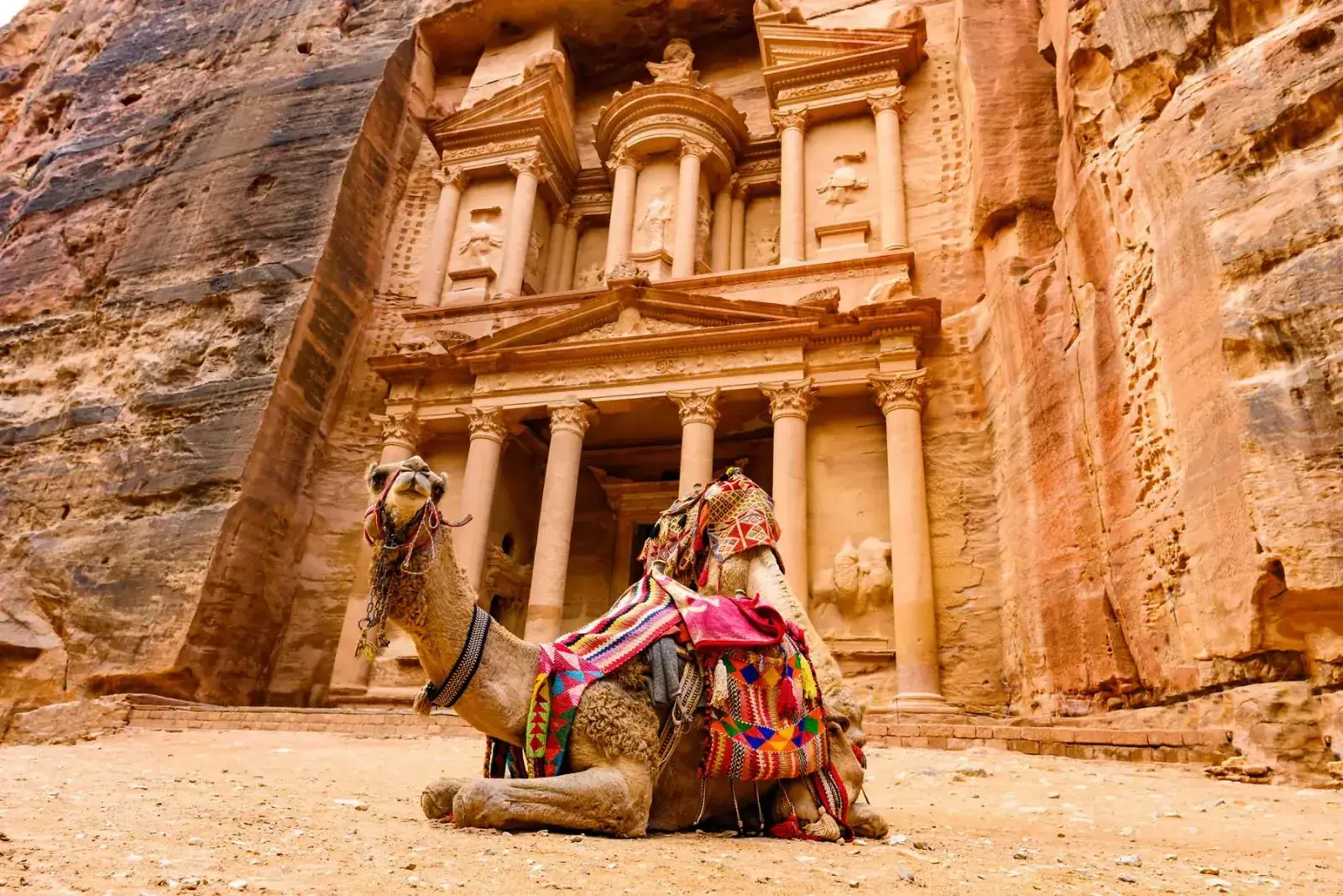 A camel sits in front of an ancient Egyptian structure