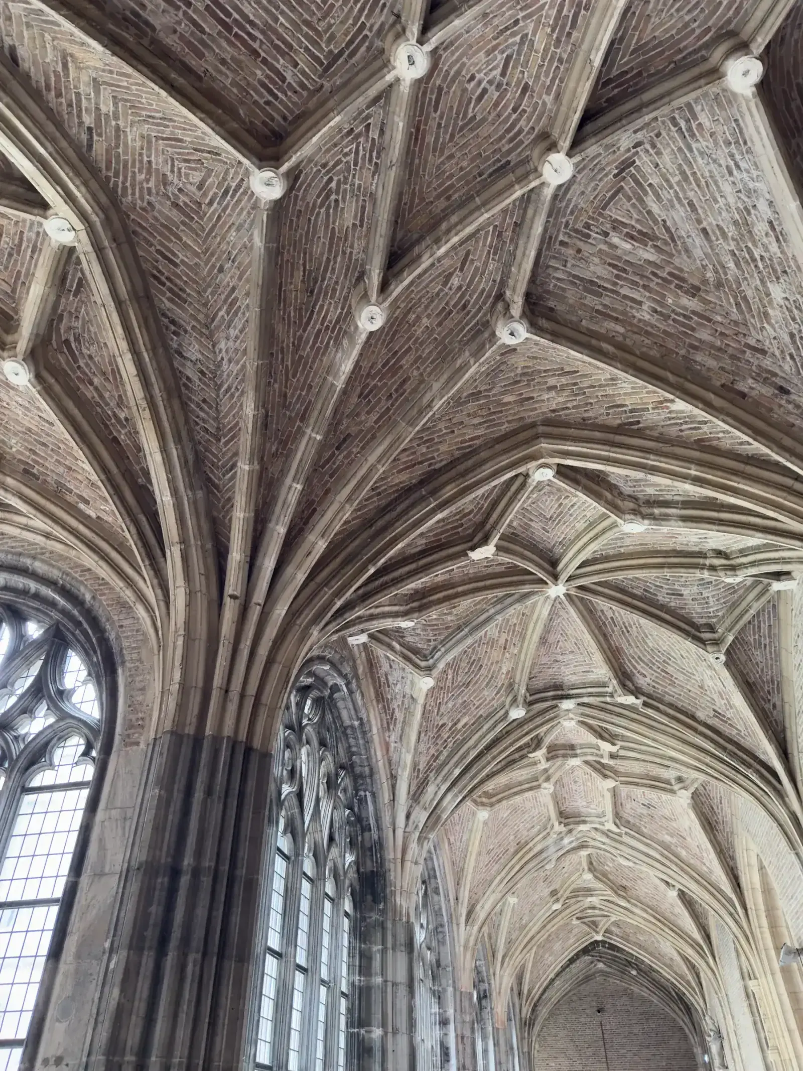Ceiling at Middleburg Abbey