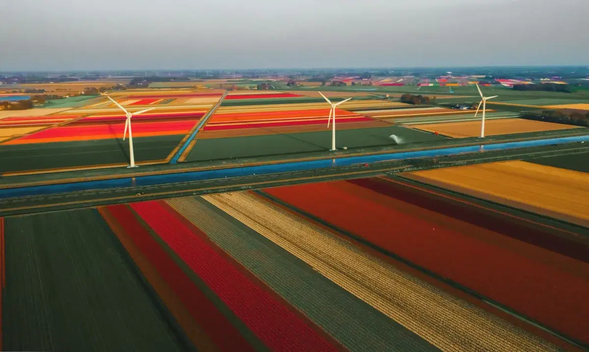 Keukenhof Gardens tulip fields aerial