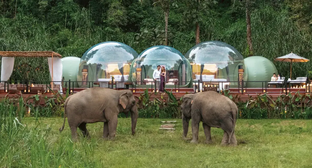 Anantara Golden Triangle jungle bubbles