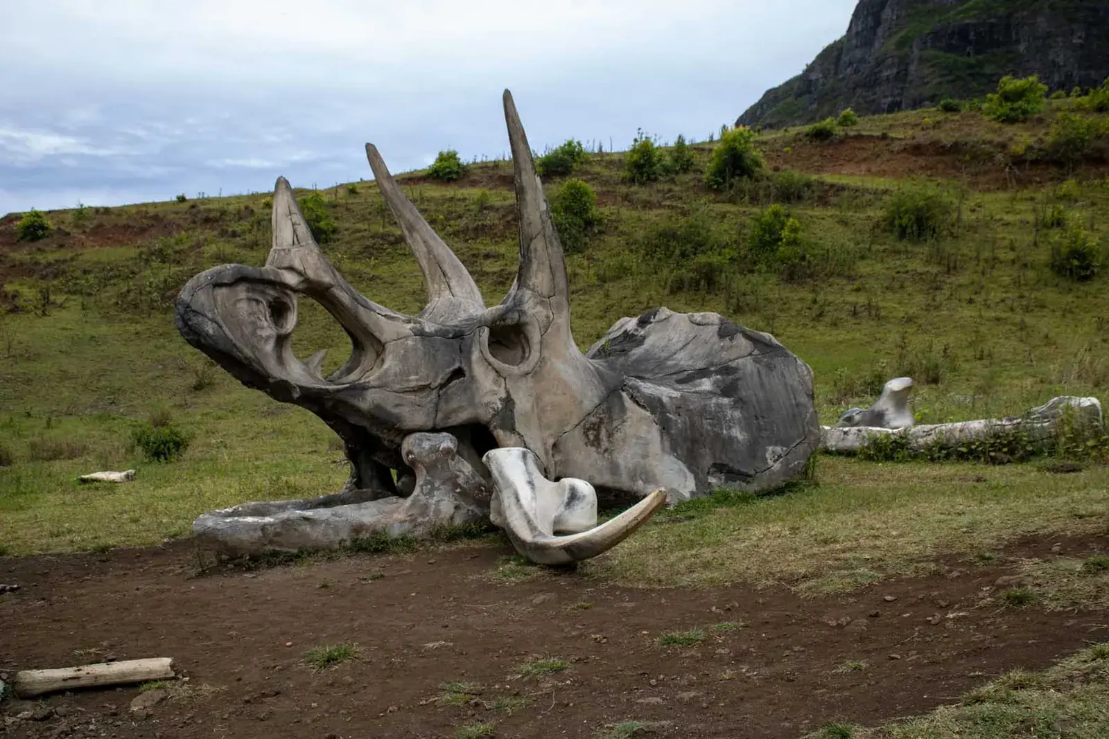 Kualoa Ranch fake dinosaur bones