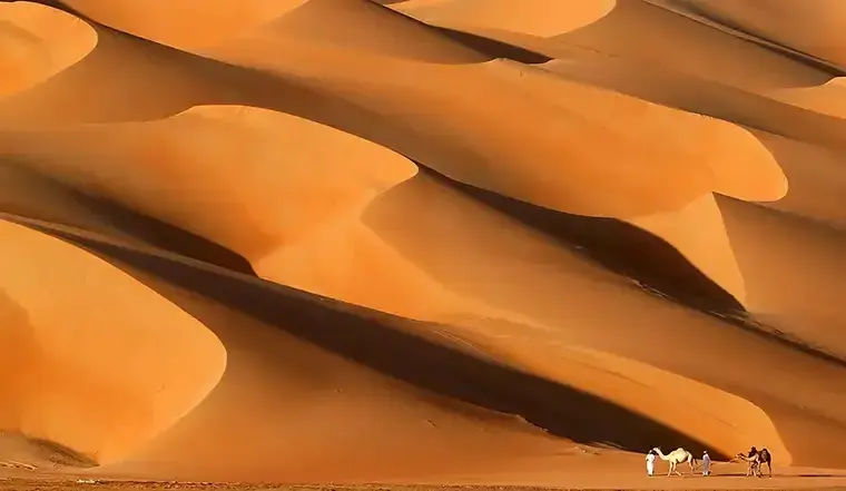 Moreeb Dune Liwa desert