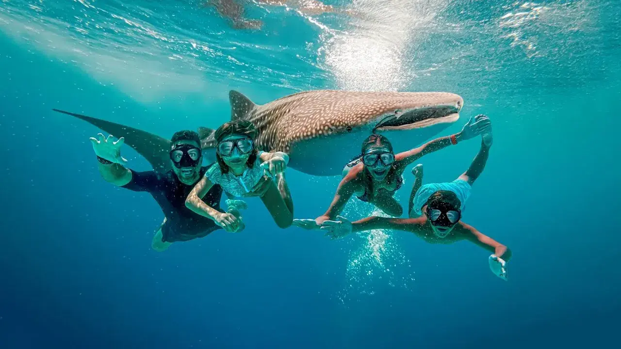 The Lockwood family swimming with whale sharks in Oslob, Cebu, Philippines
