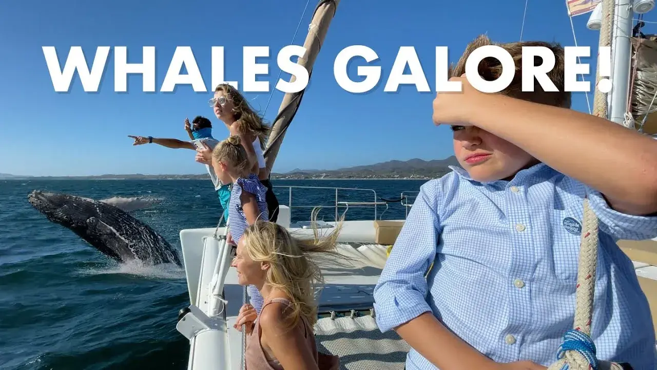 The Lockwood family whale watching from a catamaran off Punta Mita, Mexico
